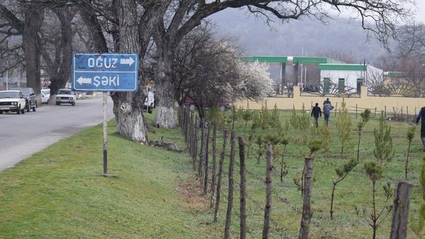 Посадка саженцев, фото из архива - Sputnik Азербайджан