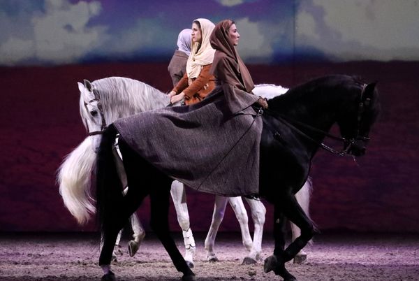 Артисты во время шоу Cavalluna, World of Fantasy в Брюсселе, Бельгия - Sputnik Азербайджан