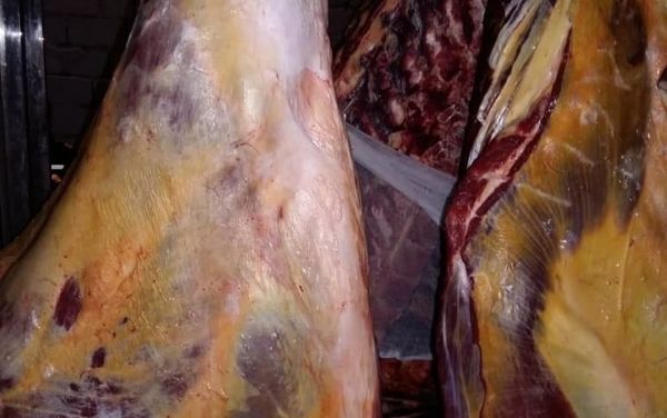 Непригодное для потребления мясо - Sputnik Азербайджан