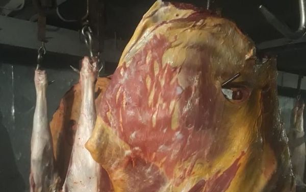 Непригодное для потребления мясо - Sputnik Азербайджан