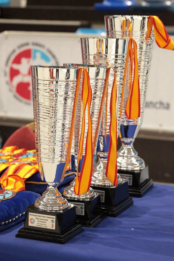Рафаэль Агаев стал вице-чемпионом Европы - Sputnik Азербайджан