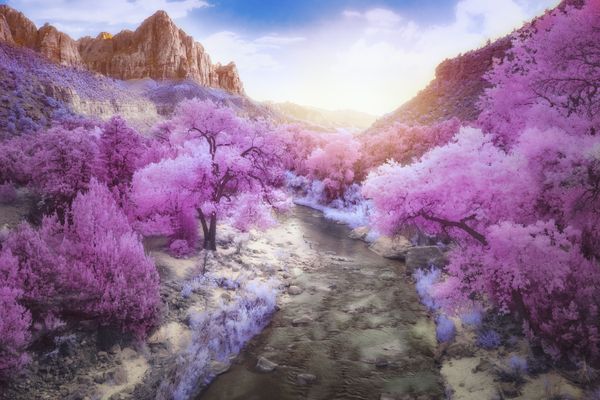 Снимок The Watchman  фотографа Blake Rudis, занявший первое место в категории Infrared Color конкурса инфракрасной фотографии Life in Another Light  - Sputnik Азербайджан