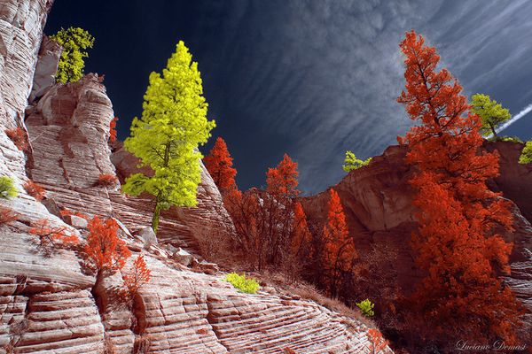 Снимок из серии Utah фотографа Luciano Demasi, победитель конкурса инфракрасной фотографии Life in Another Light  - Sputnik Азербайджан