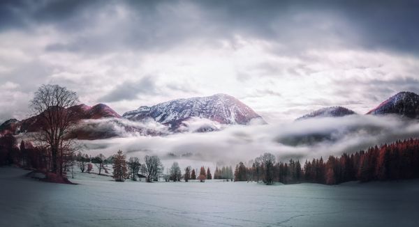 Снимок Morning Fog фотографа David Hochleitner, занявший первое место в категории Infrared Landscape конкурса инфракрасной фотографии Life in Another Light - Sputnik Азербайджан