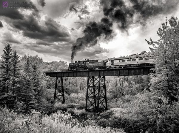 Снимок On the Way Home фотографа Ken Slute, особо отмеченный в категории IR Black & White конкурса инфракрасной фотографии Life in Another Light - Sputnik Азербайджан