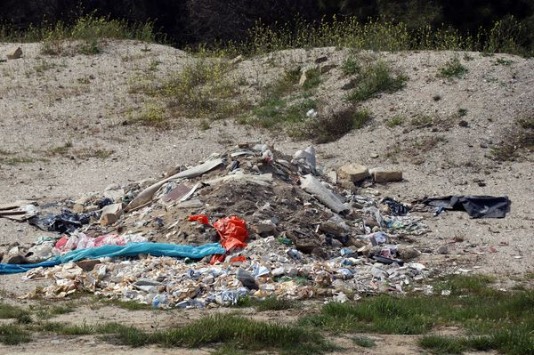 Уничтожают деревья, чтобы построить дом: жители бакинского поселка просят вернуть им парк - Sputnik Азербайджан