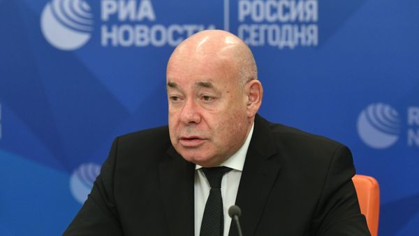 Специальный представитель Президента Российской Федерации по международному культурному сотрудничеству, сопредседатель правления Межгосударственного фонда гуманитарного сотрудничества государств-участников СНГ Михаил Швыдкой - Sputnik Азербайджан