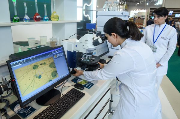 Азербайджанская международная выставка “Сельское хозяйство” и “Пищевая промышленность” - Sputnik Азербайджан