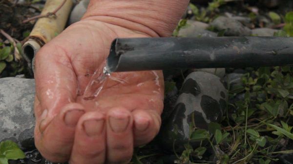 Змеи и лягушки в водопроводной трубе: жители гахского села лишены питьевой воды - Sputnik Азербайджан