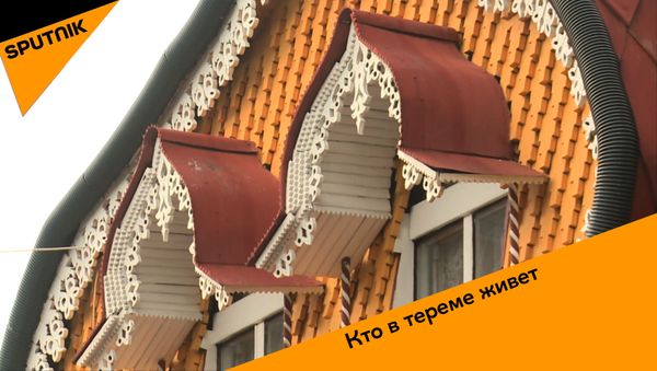 Кто в теремке живет - Sputnik Азербайджан