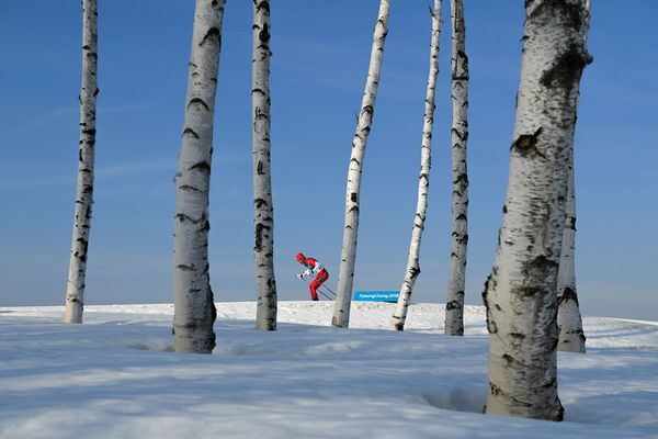 Алексей Филиппов, Россия - Lonely Olympics, Спорт, серии - Sputnik Азербайджан