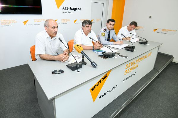 Дураки, а не дороги: эксперты обвинили пешеходов в участившихся случаях аварий - Sputnik Азербайджан
