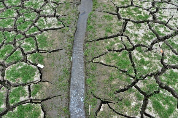 Иссохшая земля у водохранилища Лос-Лорелес в Тегусигальпе в апреле 2019 года - Sputnik Азербайджан