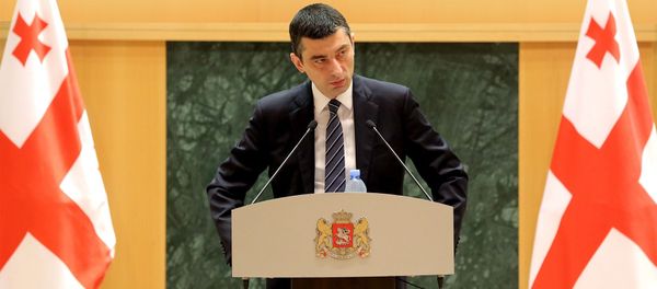 Глава МВД Грузии Георгий Гахария - Sputnik Азербайджан