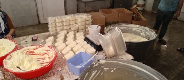 Цех по производству молочных продуктов - Sputnik Азербайджан