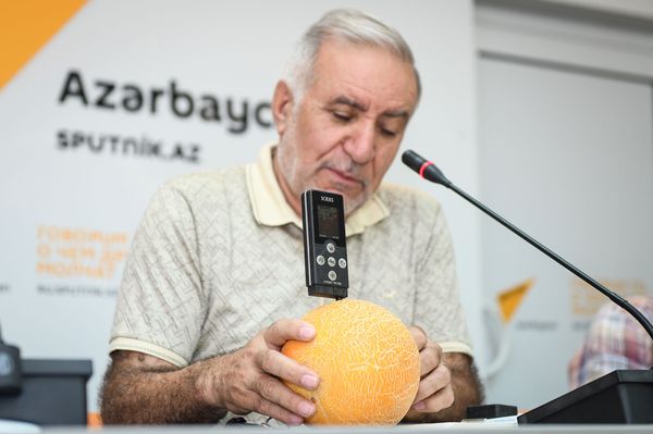Меньше, да безопаснее: эксперт рассказал, как выбрать арбуз, чтобы выжить - Sputnik Азербайджан