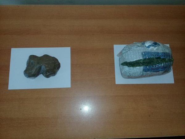 Пограничники предотвратили контрабанду наркотиков и нашли конопляные кусты - Sputnik Азербайджан