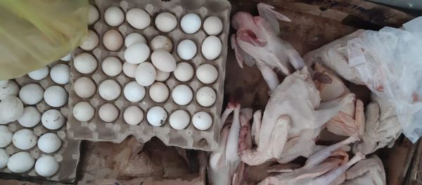 Цех по разделке мяса птицы, действующий без государственной регистрации Цех по разделке мяса птицы, действующий без государственной регистрации - Sputnik Азербайджан
