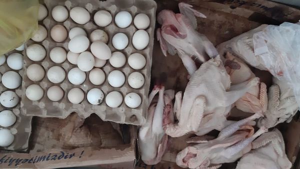 Цех по разделке мяса птицы, действующий без государственной регистрации - Sputnik Азербайджан