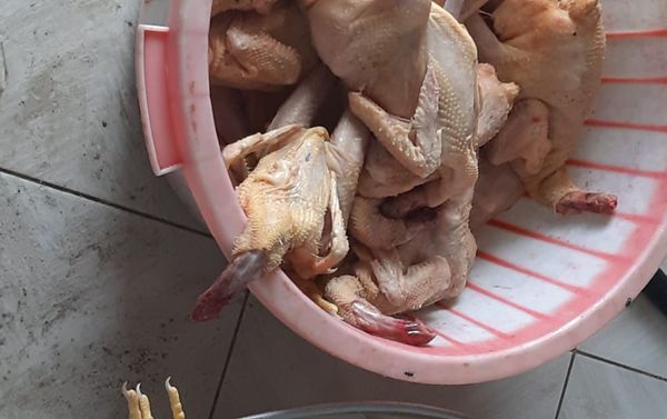 Цех по разделке мяса птицы, действующий без государственной регистрации - Sputnik Азербайджан