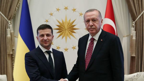 Президент Турции Реджеп Тайип Эрдоган и президент Украины Владимир Зеленский - Sputnik Азербайджан