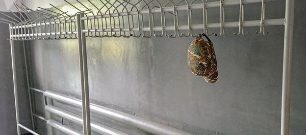 Военная кепка армянского солдата, фото из архива - Sputnik Азербайджан