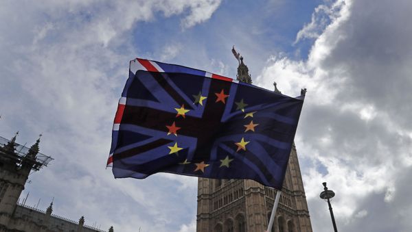 Протестующий против ЕС развевает флаги напротив здания парламента в Лондоне - Sputnik Азербайджан