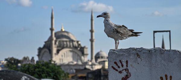 Istanbul, arxiv şəkli - Sputnik Азербайджан