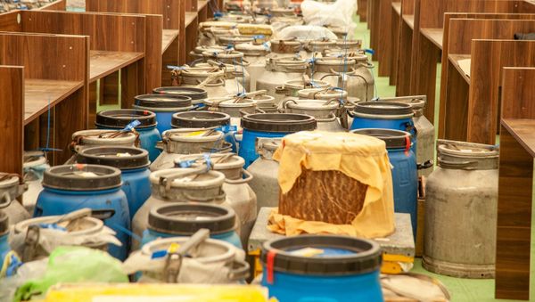 Завершается подготовка к ярмарке-выставке пчеловодческой продукции в Баку - Sputnik Азербайджан