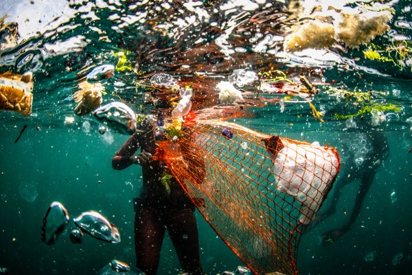 Снимок Trash фотографа Sebnem Coskun, ставший финалистом конкурса The Environmental Photographer of the Year 2019 - Sputnik Азербайджан
