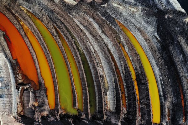 Снимок Remains of the Forest фотографа J Henry Fair, получивший приз 2019 Climate Action and Energy Prize в рамках конкурса The Environmental Photographer of the Year 2019 - Sputnik Азербайджан
