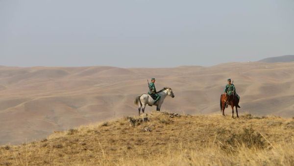 На азербайджано-грузинской границе открылся новый комплекс погранзаставы - Sputnik Азербайджан