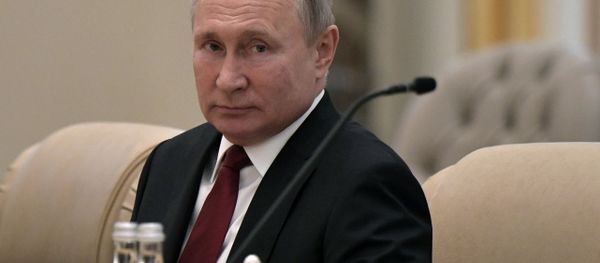 Президент РФ Владимир Путин на российско-эмиратских переговорах - Sputnik Азербайджан