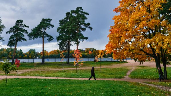 Осень, фото из архива - Sputnik Азербайджан