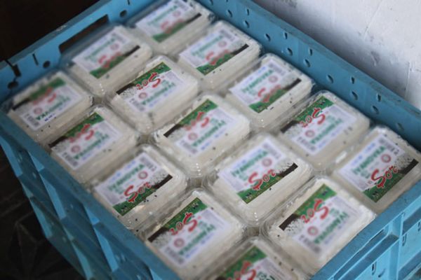 Творог из гаража: популярные молочные продукты оказались опасны - фото - Sputnik Азербайджан