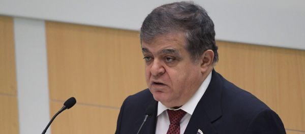 Первый заместитель председателя Комитета Совета Федерации по международным делам Владимир Джабаров - Sputnik Азербайджан