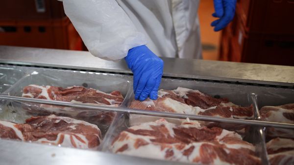Мясо на мясоперерабатывающем комбинате - Sputnik Азербайджан