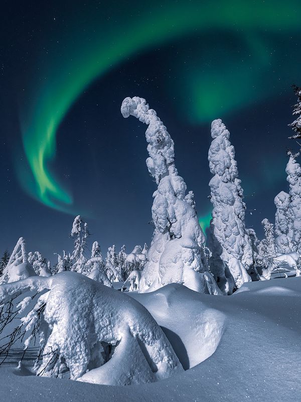 Снимок In slow dance фотографа Andrei Baskevich, ставший финалистом конкурса Weather Photographer of the Year 2019 - Sputnik Азербайджан