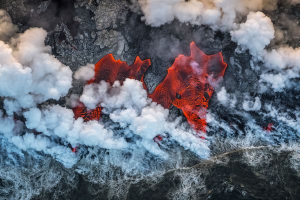 Снимок The red elephant испанского фотографа Luis Manuel Vilariño Lopez, занявший второе место в категории  LANDSCAPES конкурса GDT European wildlife photographer of the year 2019 - Sputnik Азербайджан