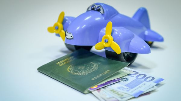 Паспорт гражданина Азербайджана, игрушка, манаты и доллары разных номиналов, фото из архива - Sputnik Азербайджан