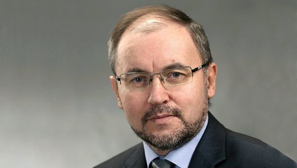 Генеральный директор туроператора Дельфин Сергей Ромашкин Генеральный директор туроператора Дельфин Сергей Ромашкин - Sputnik Азербайджан