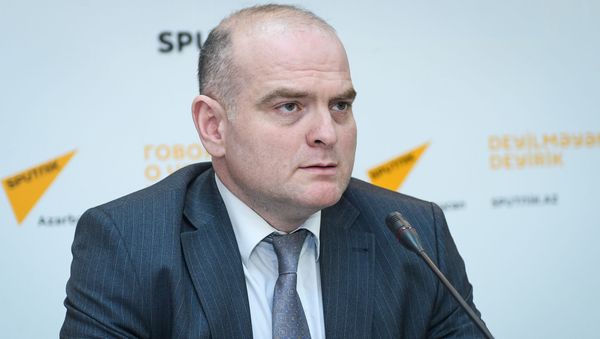 Заместитель директора Русской школы экономики UNEC, доктор наук, профессор Эльшад Мамедов - Sputnik Азербайджан
