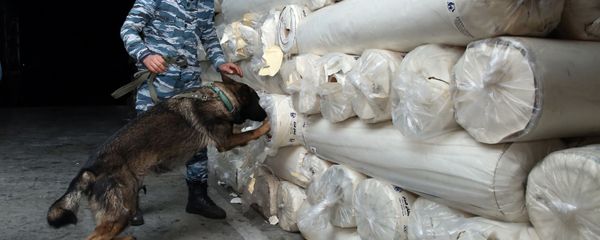 Biləsuvar gömrük postunda süni dəri yükündə aşkarlanan 304 kiloqramdan çox heroin - Sputnik Азербайджан