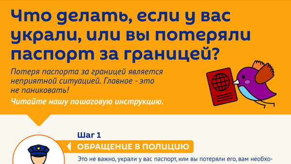Инфографика: Что делать, если у вас украли, или вы потеряли паспорт за границей? - Sputnik Азербайджан