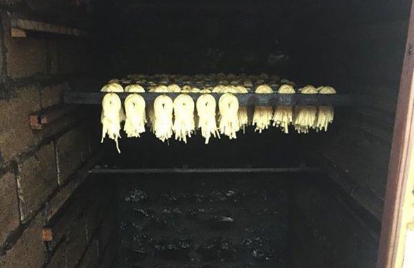 Цех по производству сыра, не соблюдавший санитарные и производственные нормы - Sputnik Азербайджан