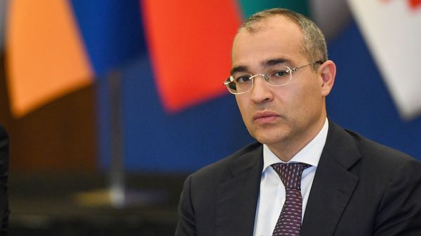 Министр экономики Азербайджана Микаил Джаббаров - Sputnik Азербайджан