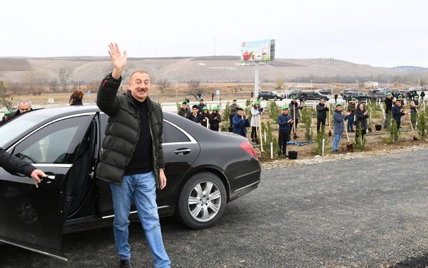 Президент Азербайджана Ильхам Алиев и Первая леди Мехрибан Алиева приняли участие в акции по посадке деревьев в Шамахинском районе - Sputnik Азербайджан