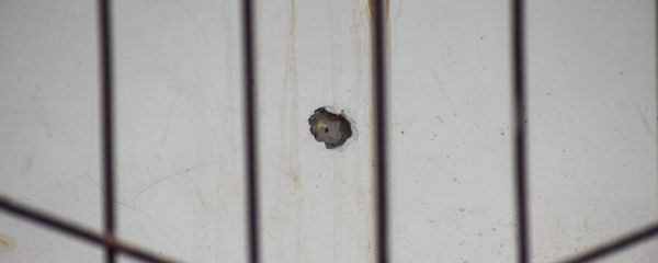 Əlibəyli kəndində Evinə atılan güllələri yığan kolleksiyaçı Ədalət Rzayev - Sputnik Азербайджан