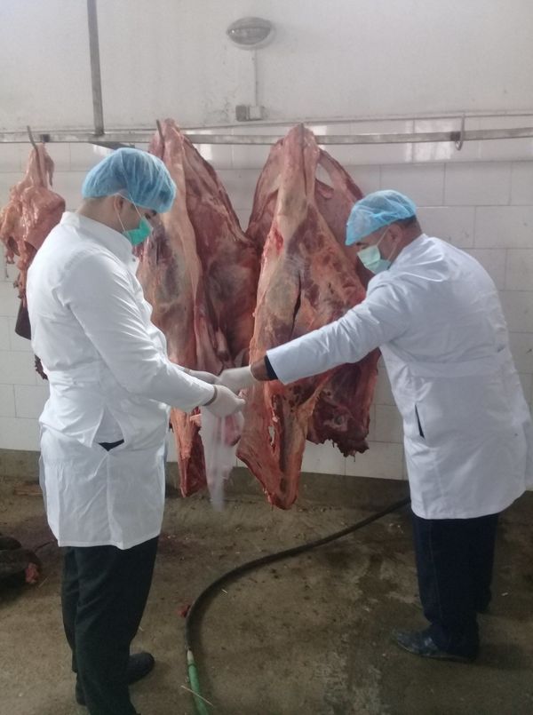 В Сумгайыте помешали продаже непригодного мяса - Sputnik Азербайджан