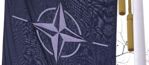Развал НАТО: сможет ли альянс сохранить единство - Sputnik Азербайджан